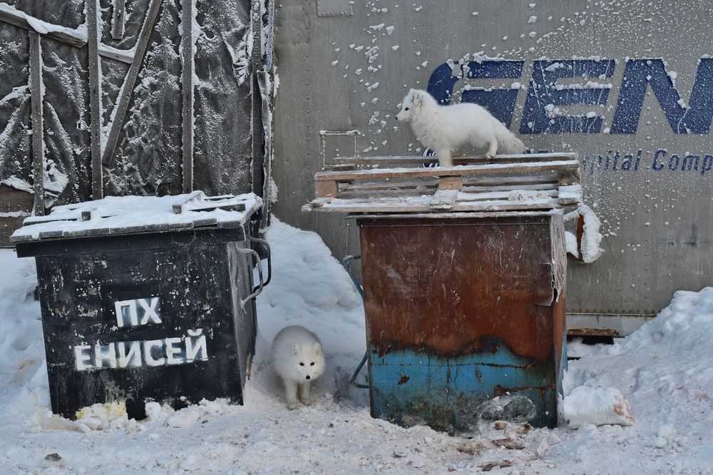 Photograph by Нина Кольман