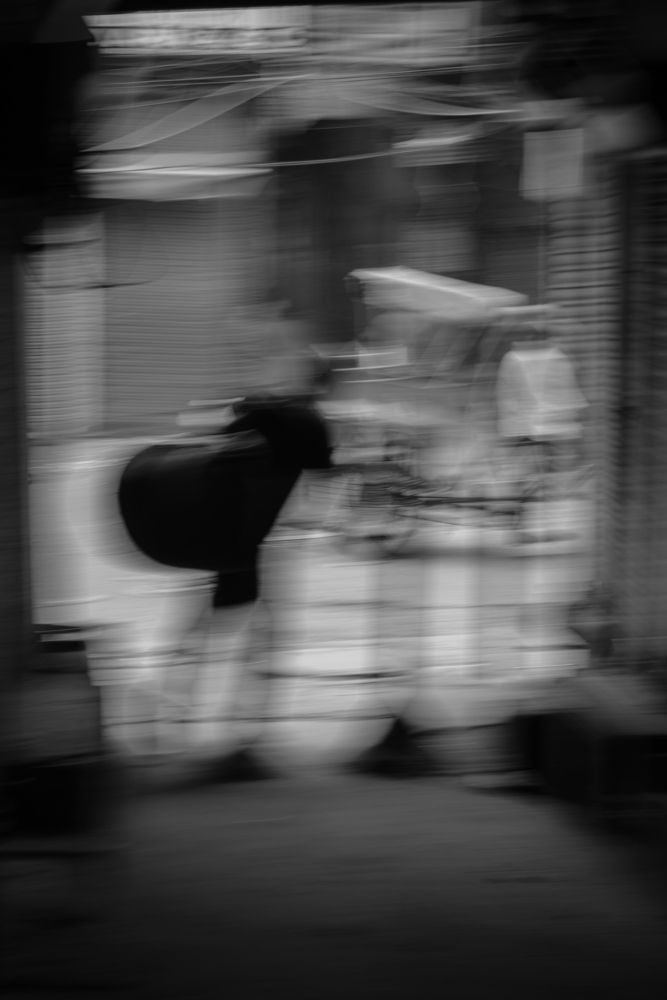 Photograph by Amey Mote