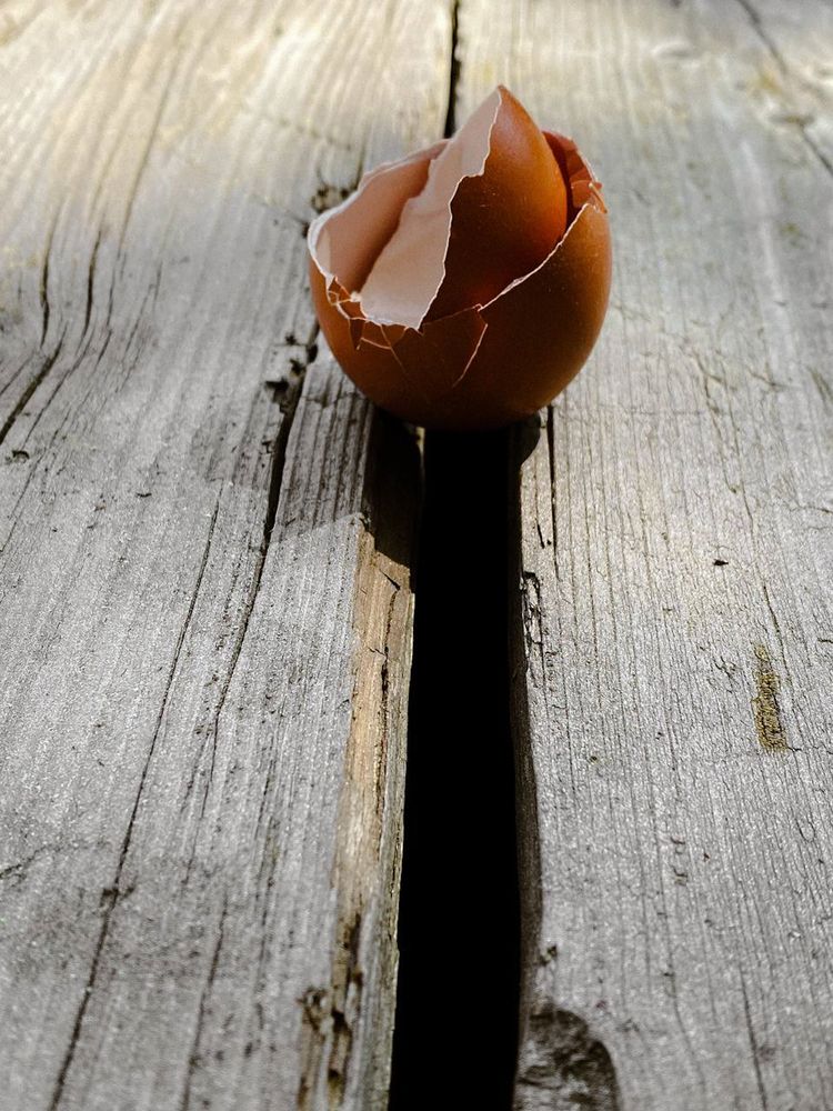 Photograph by Анастасия Гульванюк