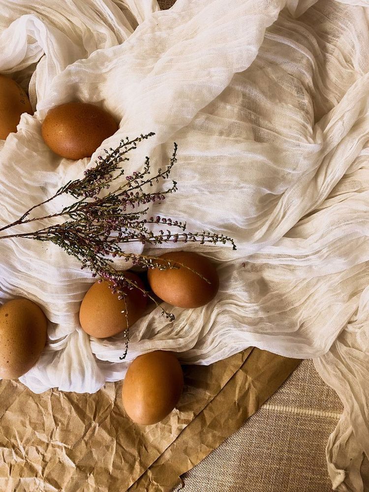 Photograph by Анастасия Гульванюк