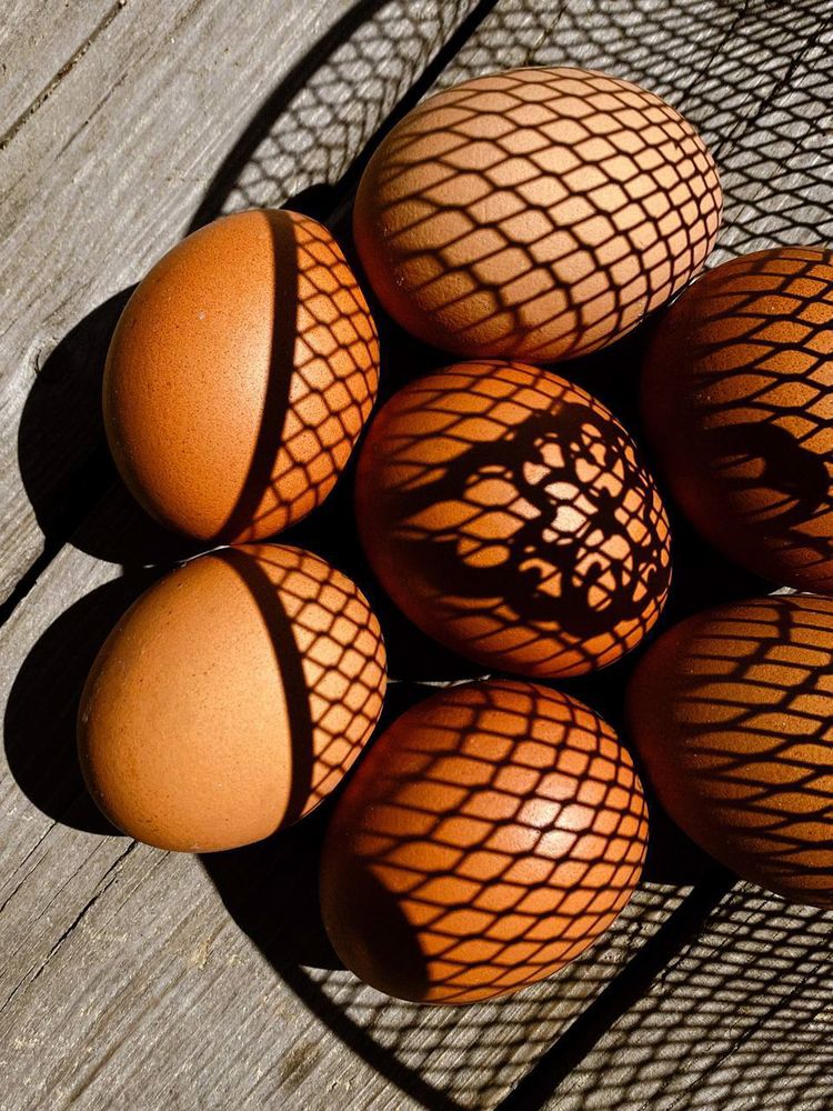 Photograph by Анастасия Гульванюк