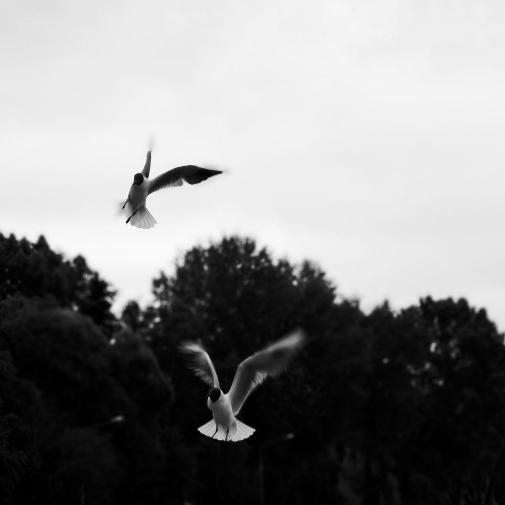 Photograph by Эдуард Семёнов