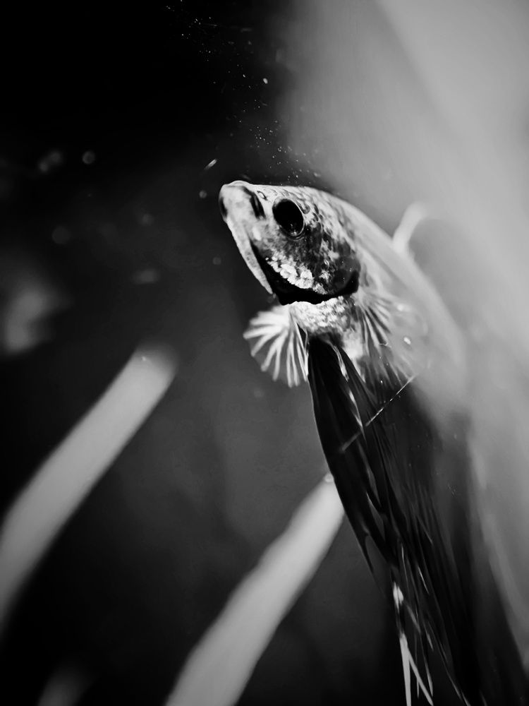 Photograph by Юлия Гришина