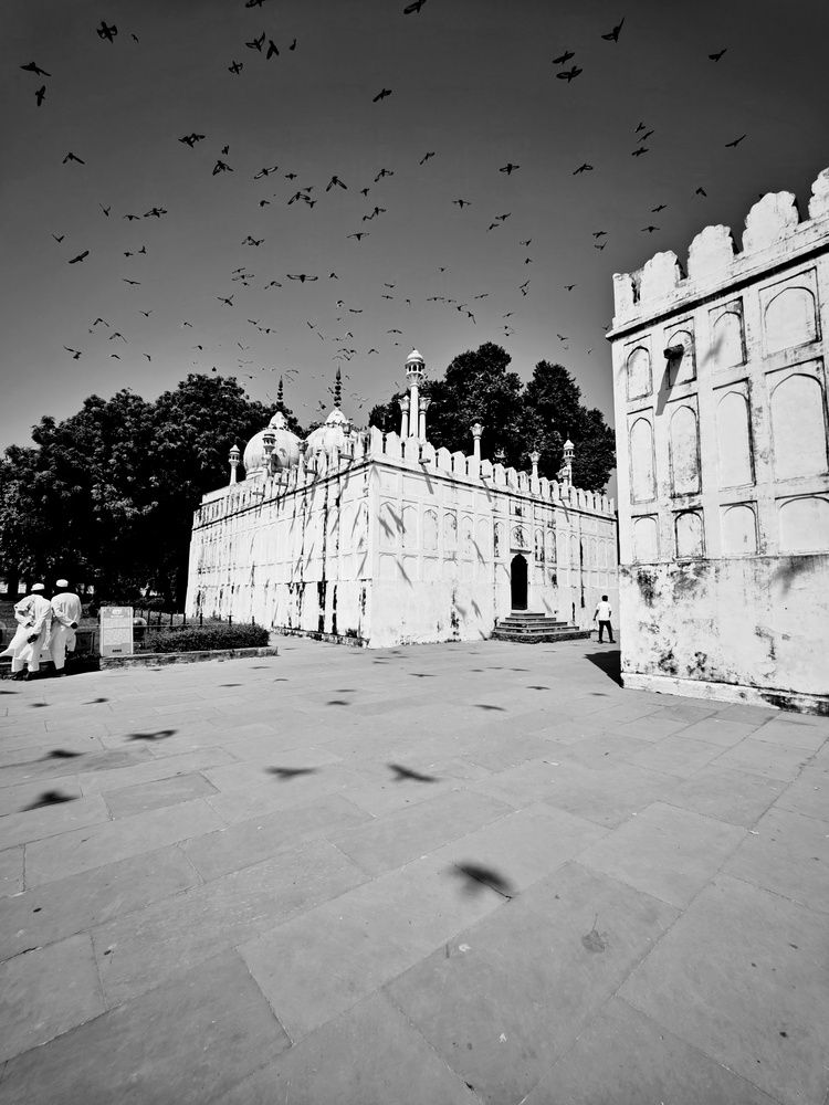 Photograph by Юлия Гришина