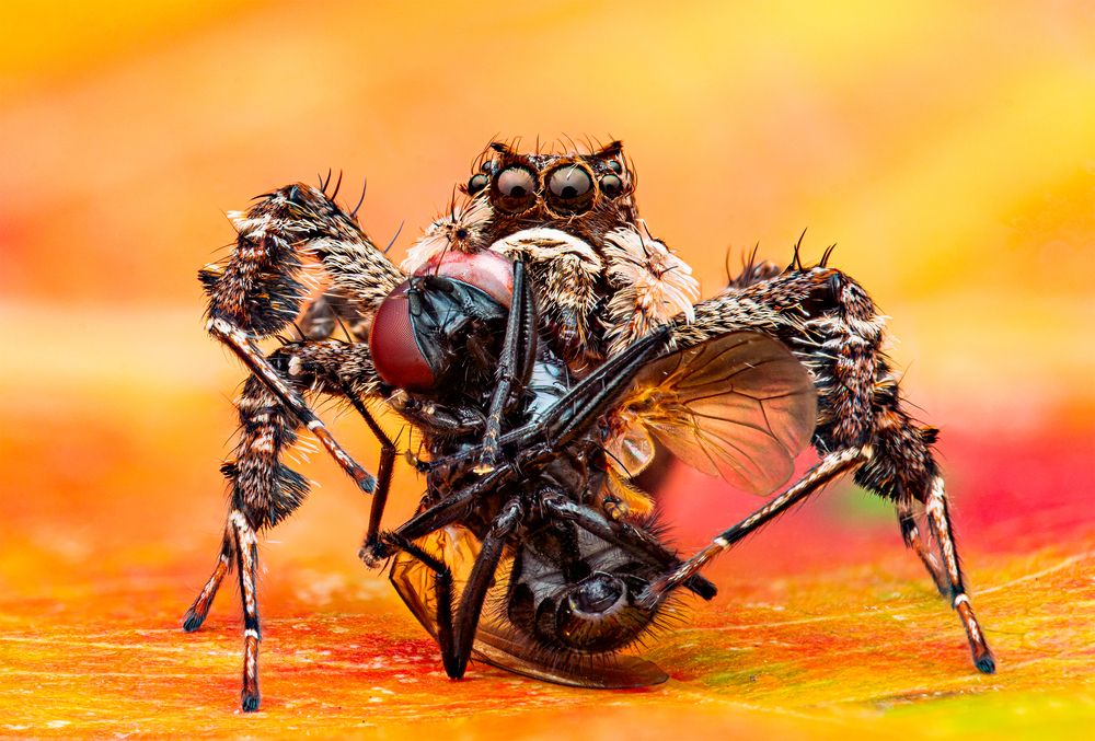 Photograph by Xích Lô