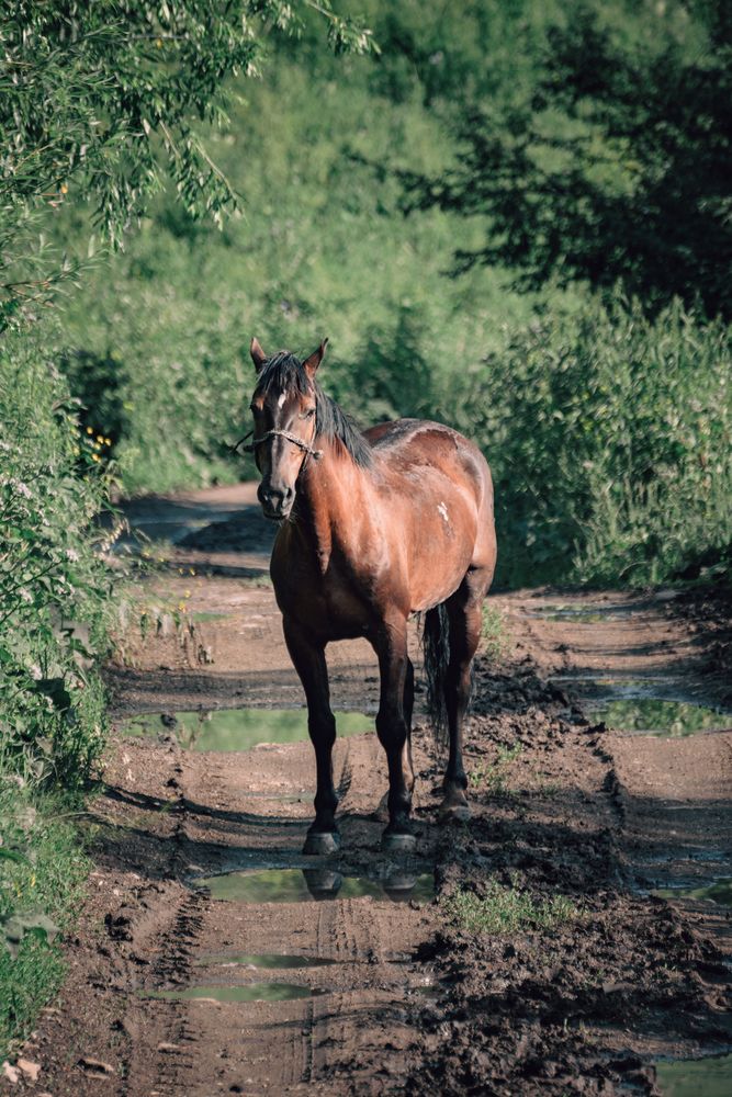 Photograph by Юрий Жданов
