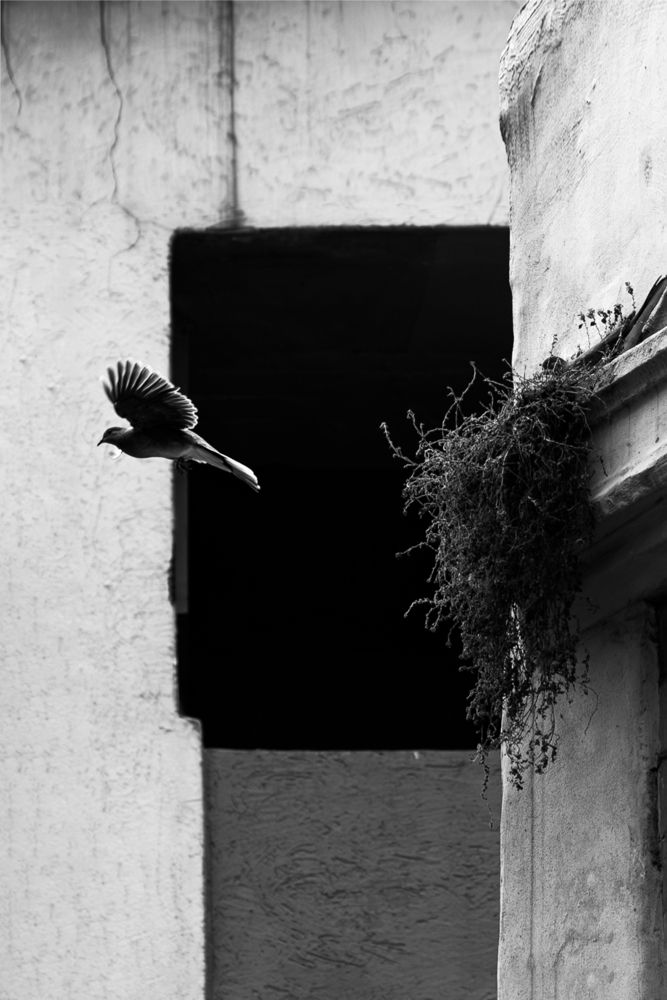 Photograph by Эльвира Полудницына