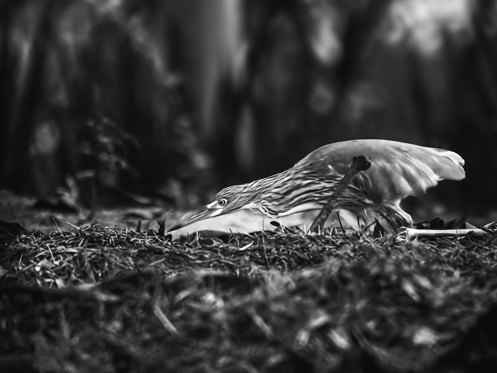 Photograph by WONG ADVENTURE