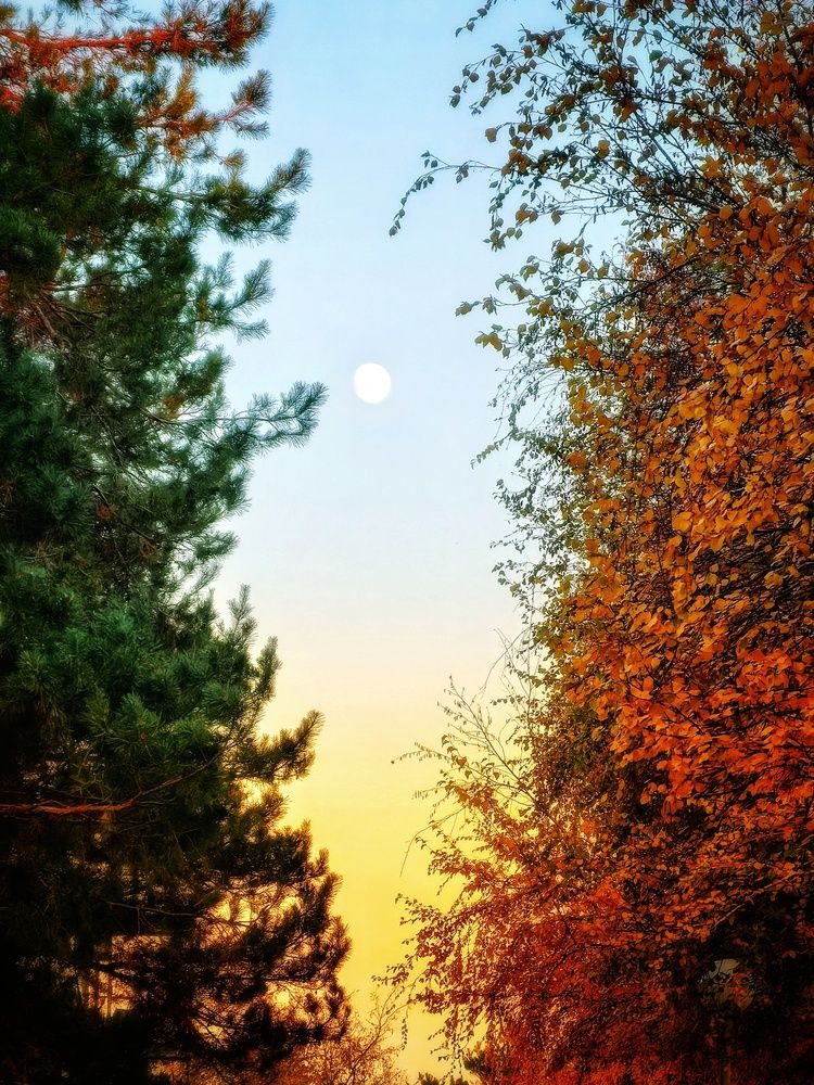 Photograph by Елена Оборник