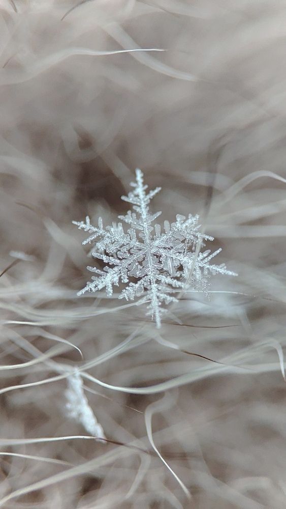 Snowflake