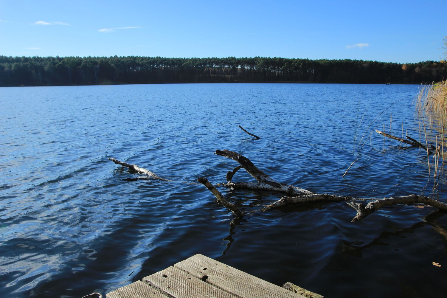 Photo #12816813