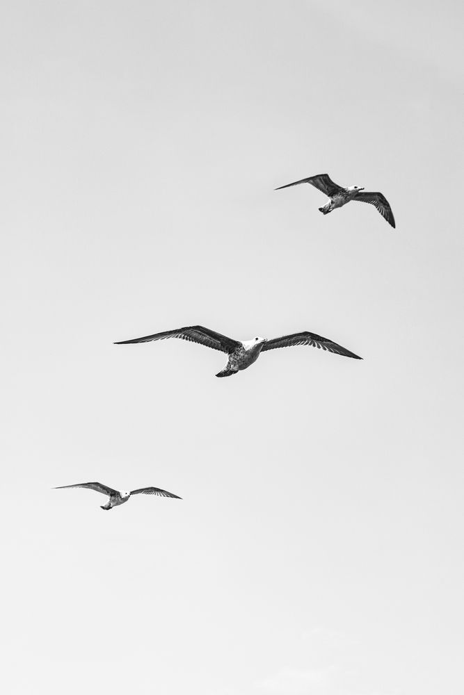 Photograph by Эльвира Полудницына