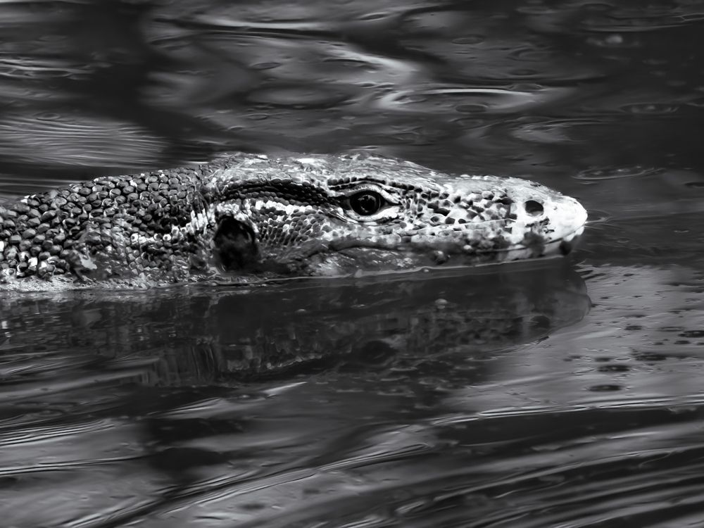 Photograph by WONG ADVENTURE