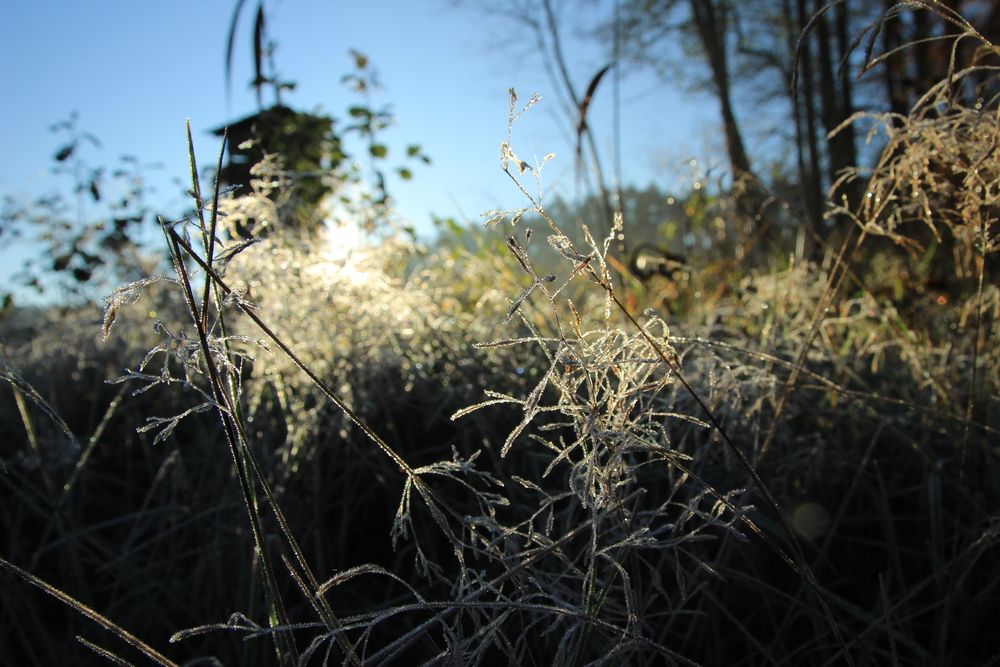 Photograph by Maciej Morgiel