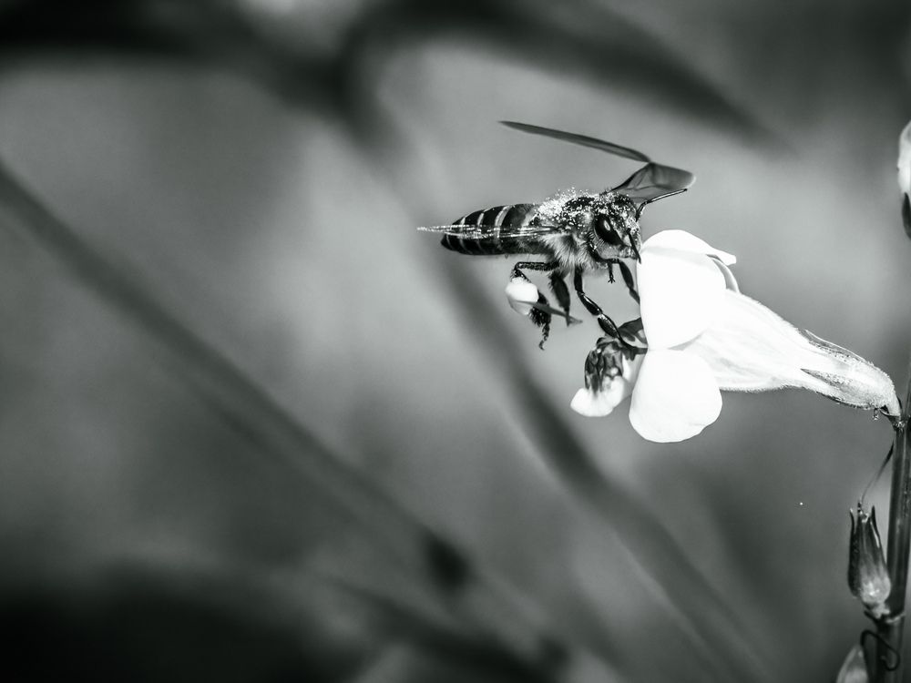 Photograph by WONG ADVENTURE