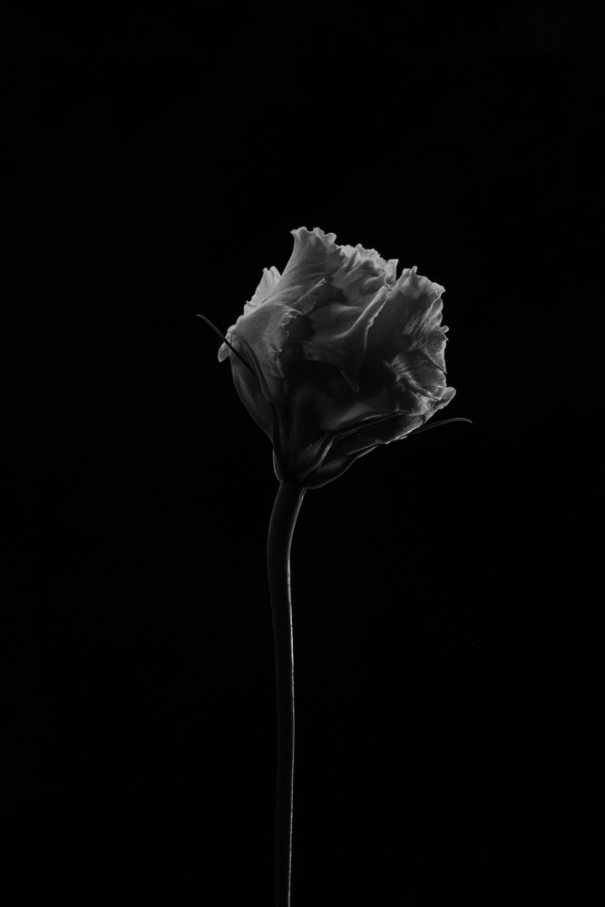 Photograph by Эльвира Полудницына