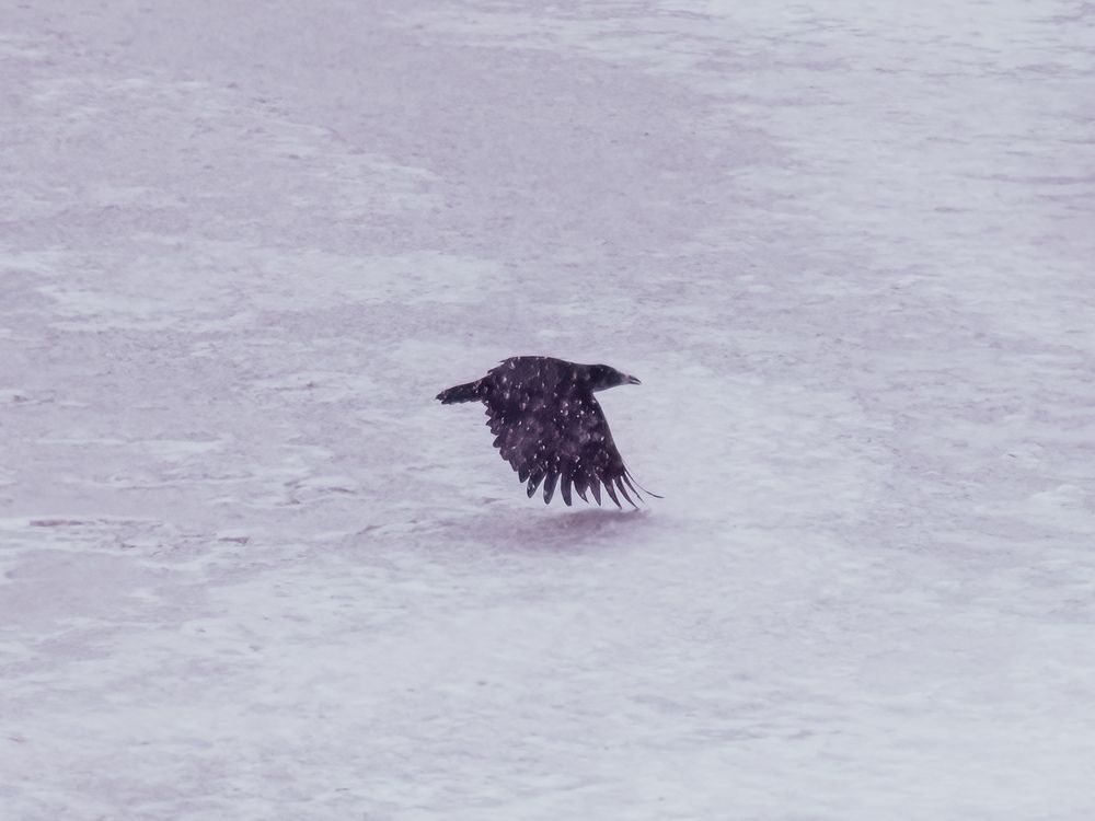 Photograph by Wong Fei Hung