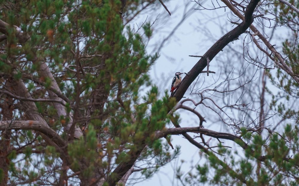 Photograph by Дарий Остахов