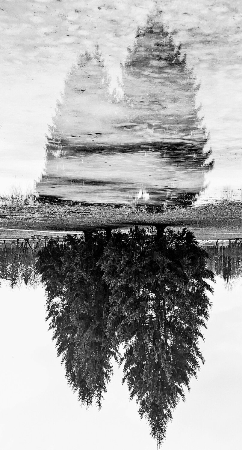 Photo #12816964