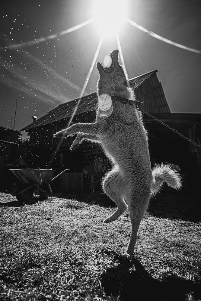 Photograph by Тимур Даутов