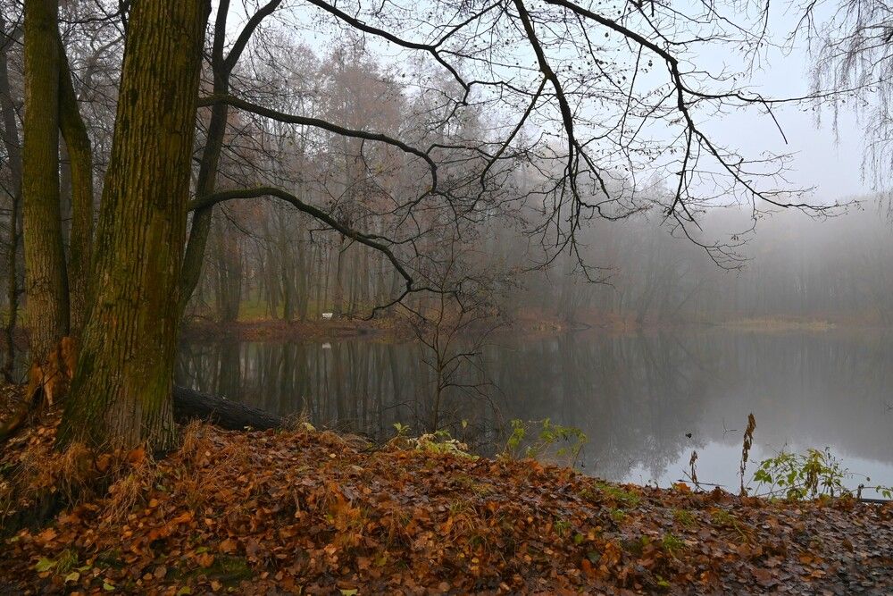 Photograph by IRINA FILIPPOVA