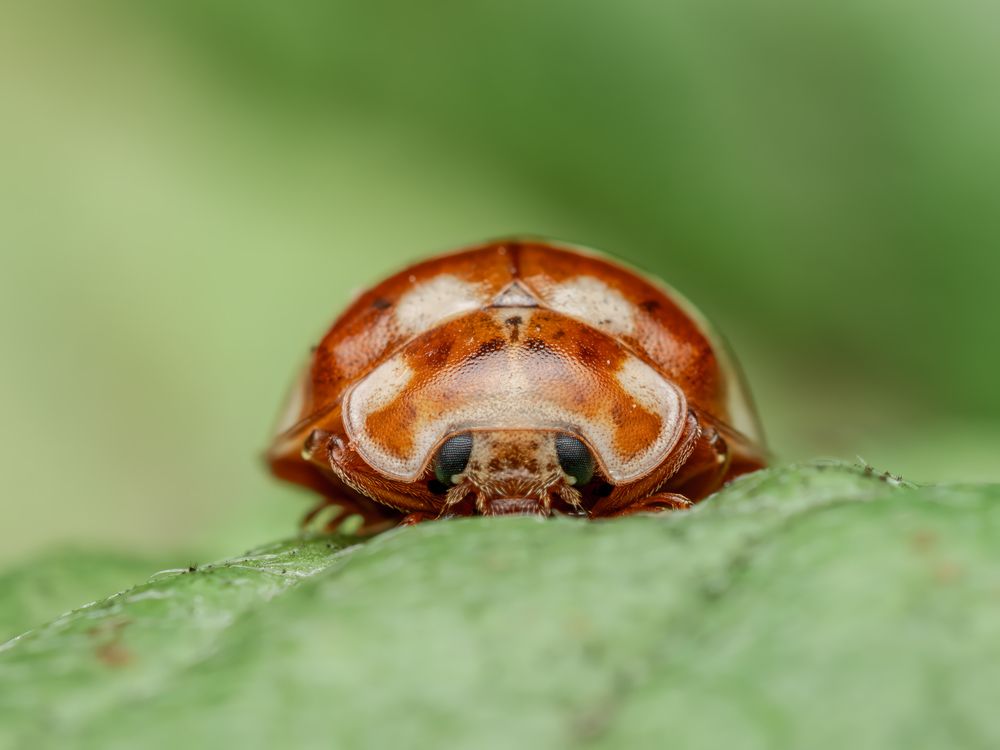 Фотография автора Миша Усольцев