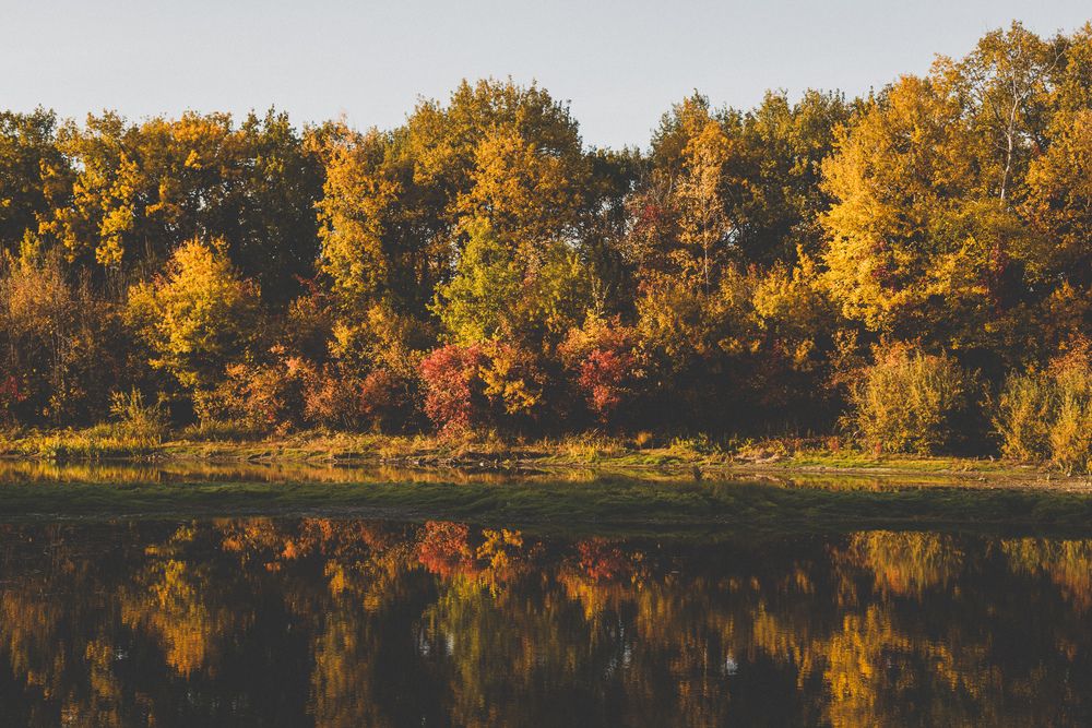 Photograph by Сергей Горишний