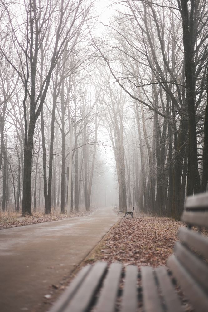 Photograph by Марина Безденежных