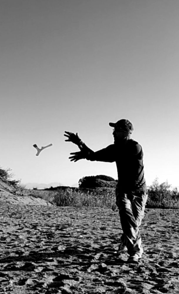 Photograph by Avi Behar