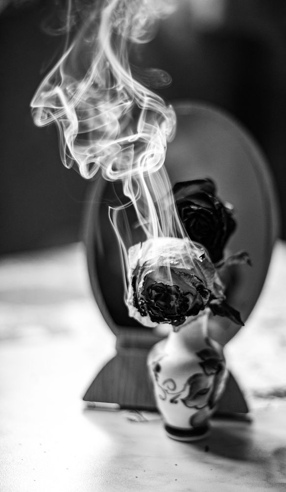 Photograph by Дария Ризниченко