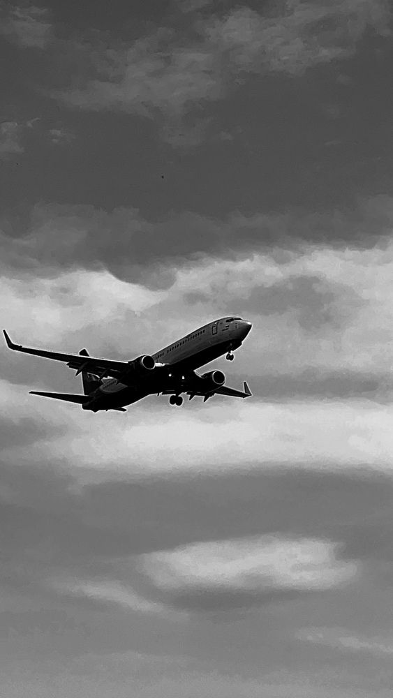 Фотография автора Елизавета Станкевич