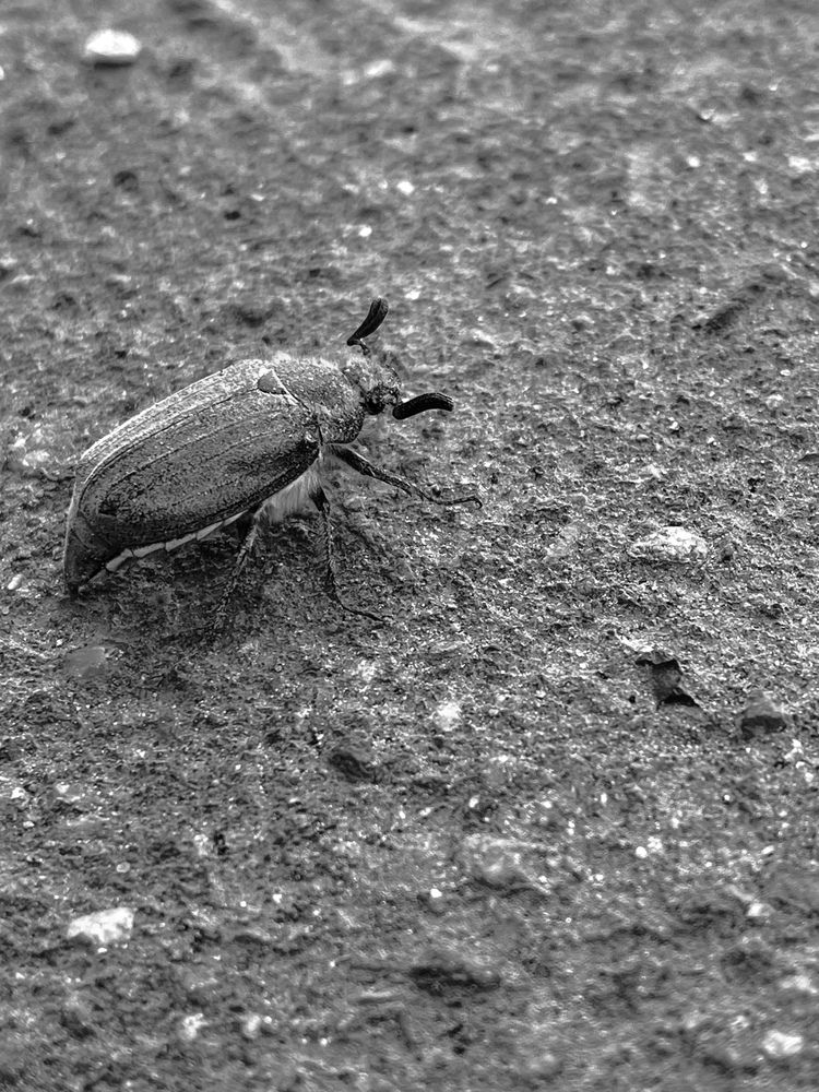 Фотография автора Елизавета Станкевич
