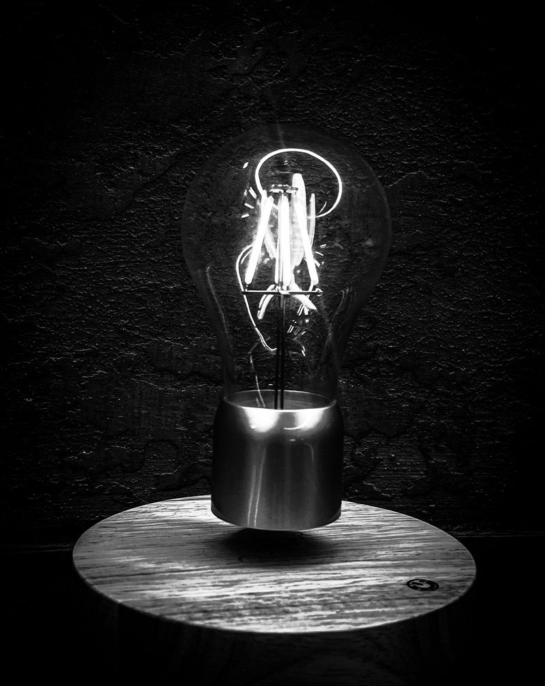 Фотография автора Елизавета Станкевич