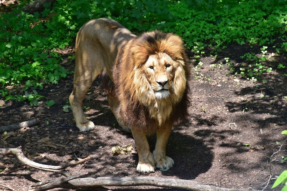 Photograph by Нина Кольман