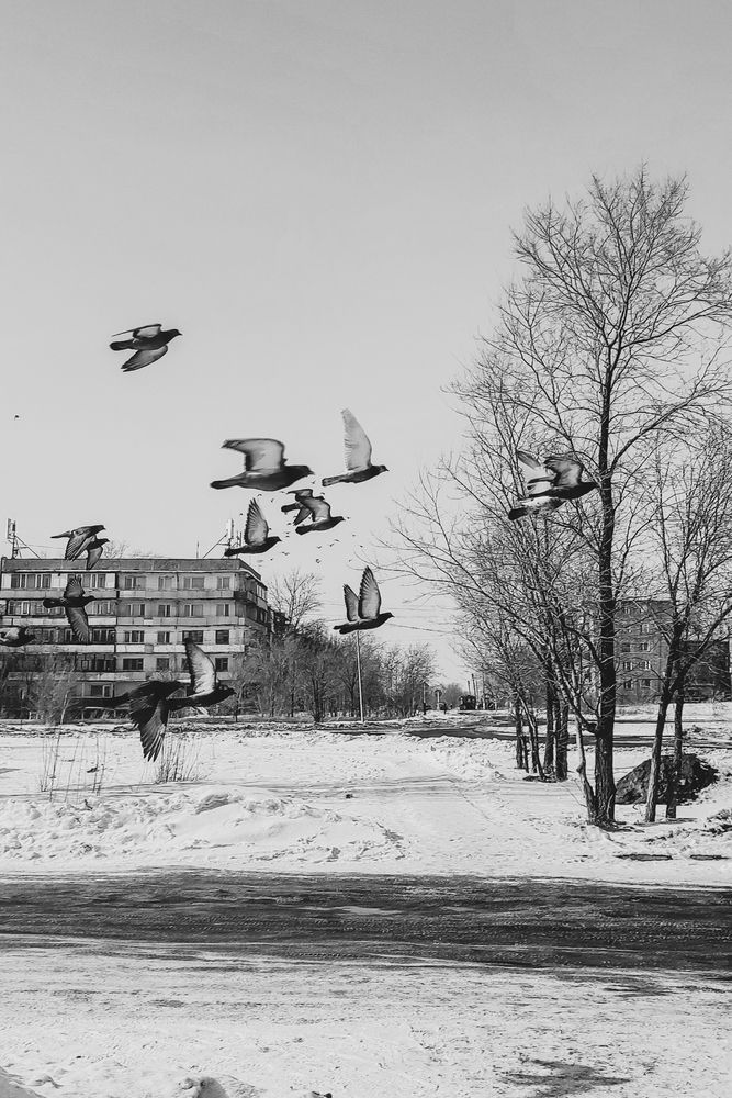 Photograph by Ирина Строкова