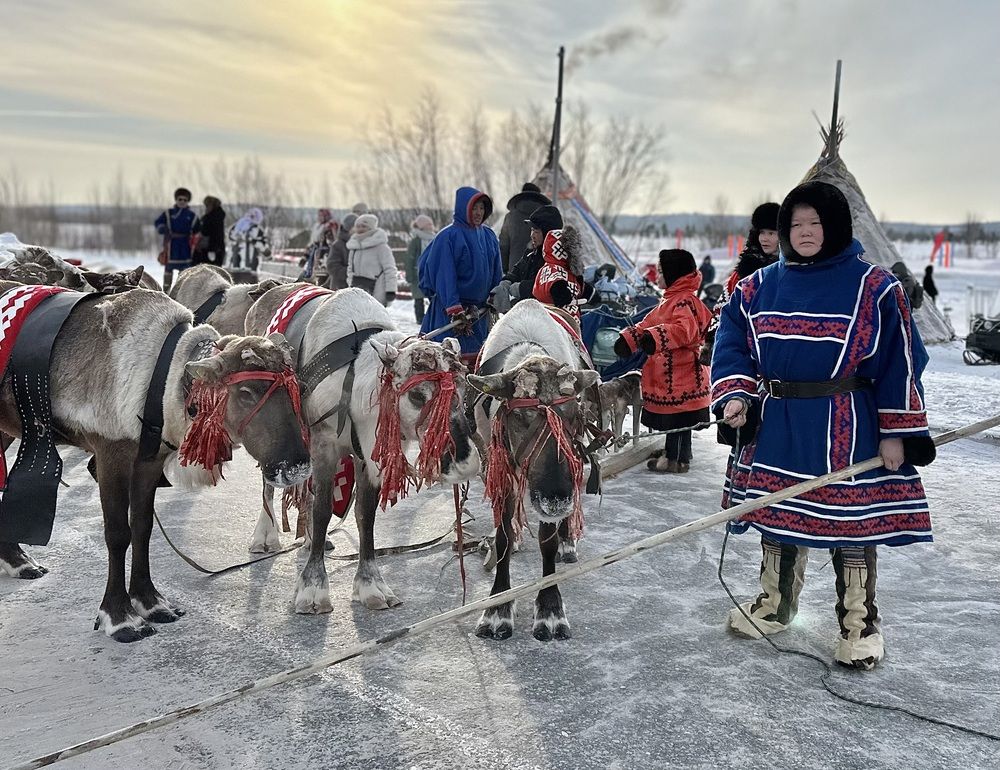 Вышел в люди