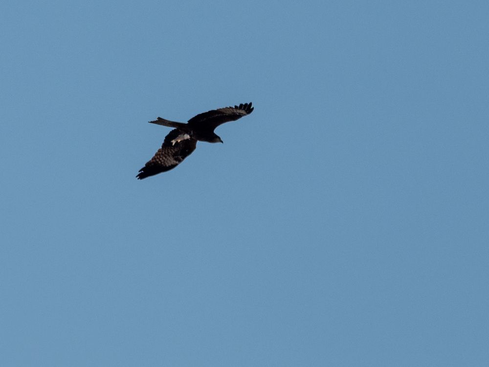 Фотография автора Валерий Бычков