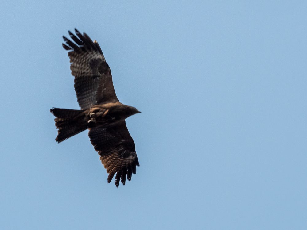 Фотография автора Валерий Бычков