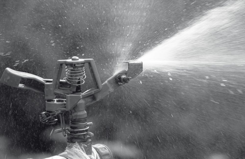 Photograph by Виктор Саврей