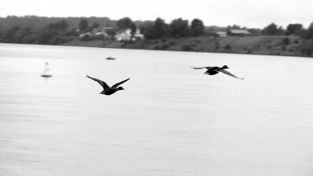 Photograph by Егор Чинарев