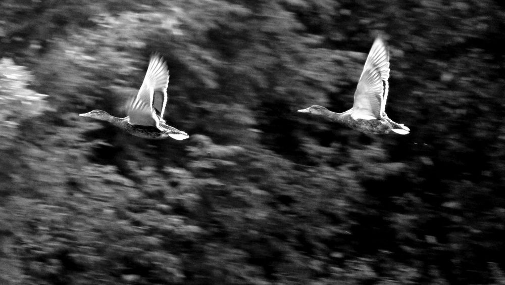 Photograph by Егор Чинарев