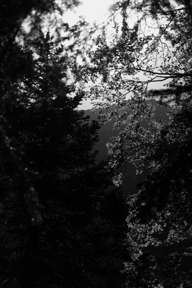 Photograph by Юлия Сысоева