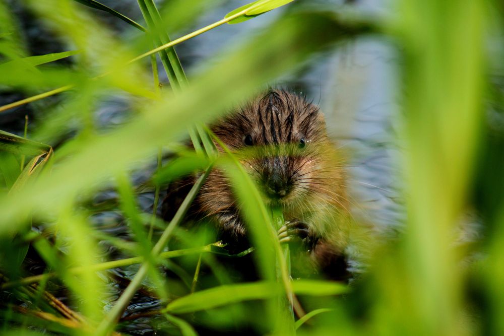 Photograph by Vladislav Klimin