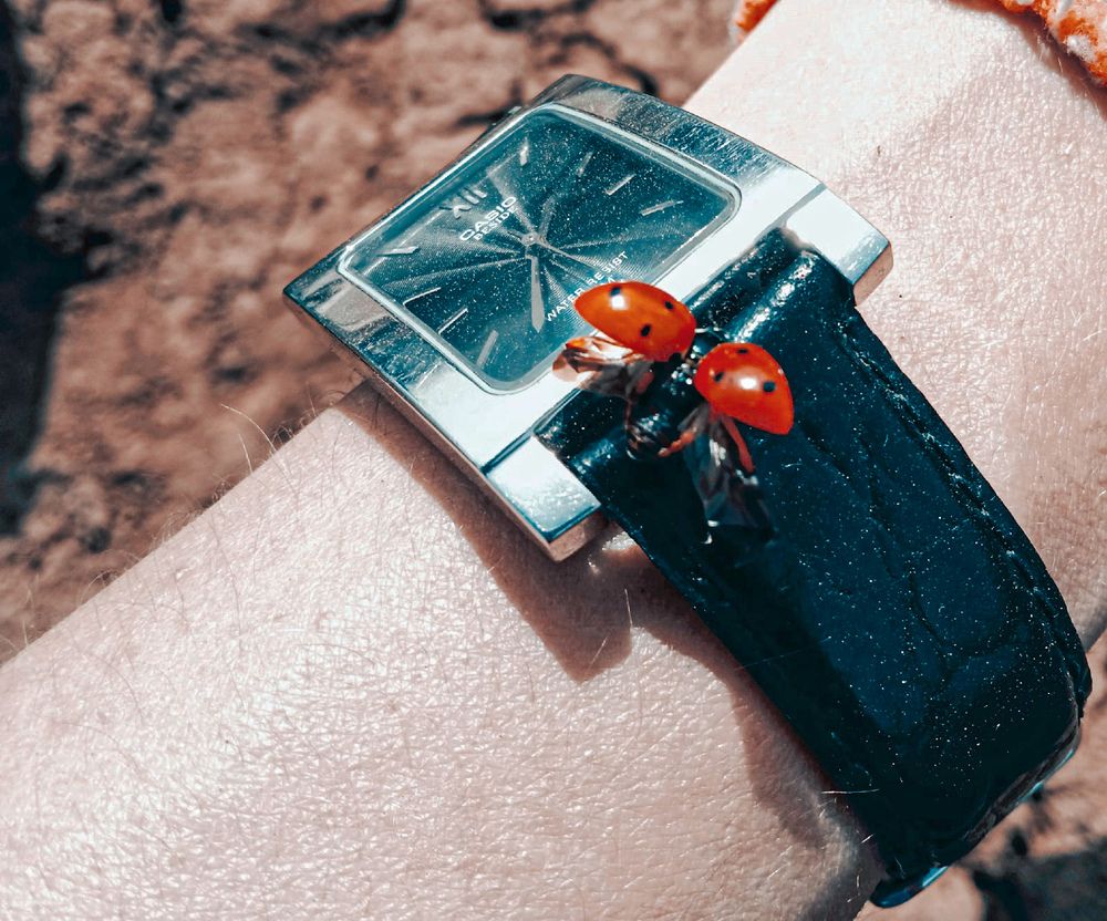 Photograph by Евгения Сапон