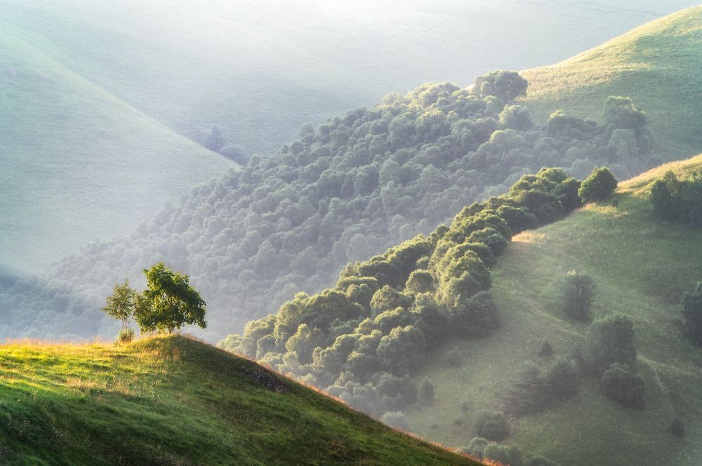 Photograph by Алексей Турчин
