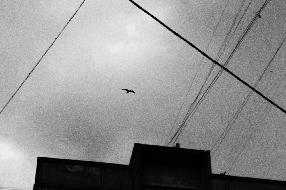 Photograph by Екатерина Ерина