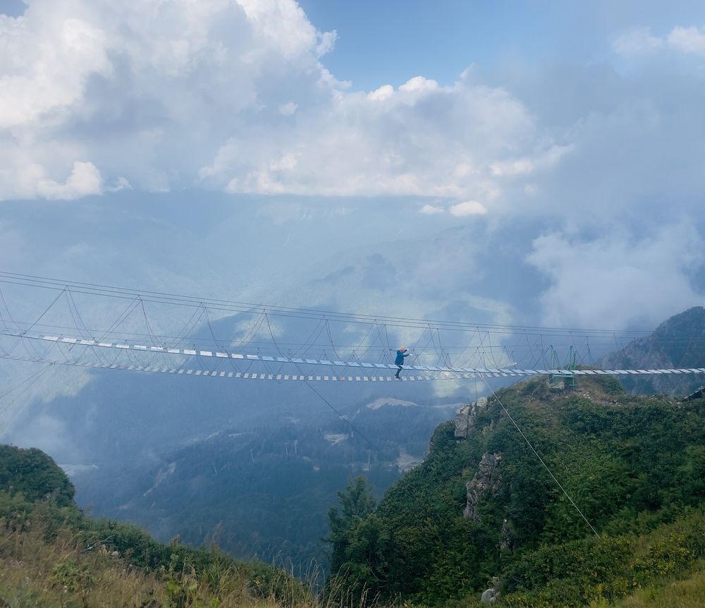 Фотография автора Юлия Новичихина