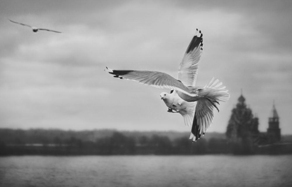 Photograph by Алла Андреева