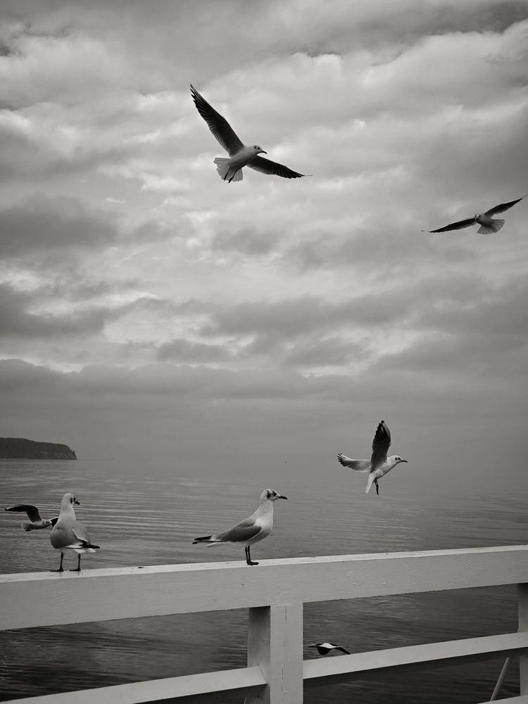 Photograph by Татьяна Яцкевич