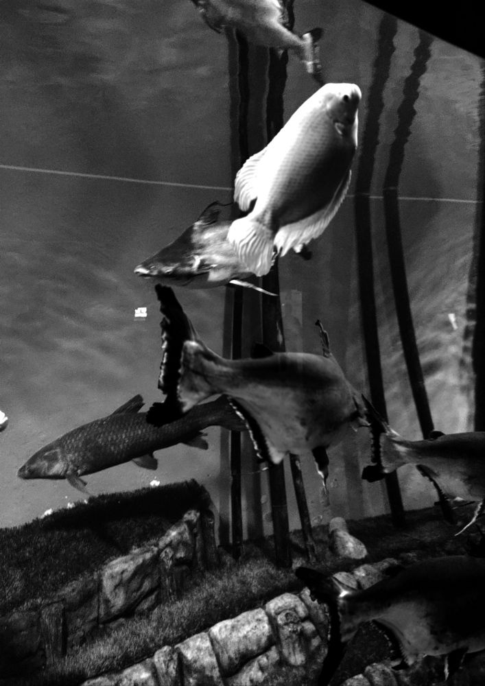 Photograph by Татьяна Пьянзина